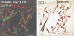 Figure 2 - Unfortunately we are unable to provide accessible alternative text for this. If you require assistance to access this image, please contact help@nature.com or the author